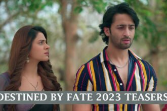 Destined by Fate Teasers for November 2023 Destined by Fate Teasers for November 2023