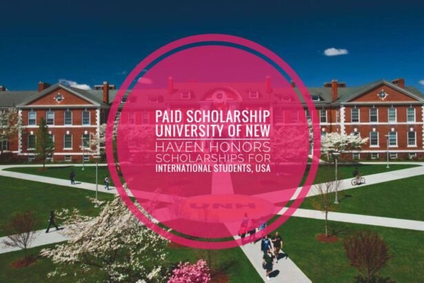 University of New Haven Scholarship